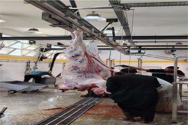 التشغيل التجريبي لمجزر “كلح الجبل” في إدفو بأسوان بتكلفة 21 مليون جنيه