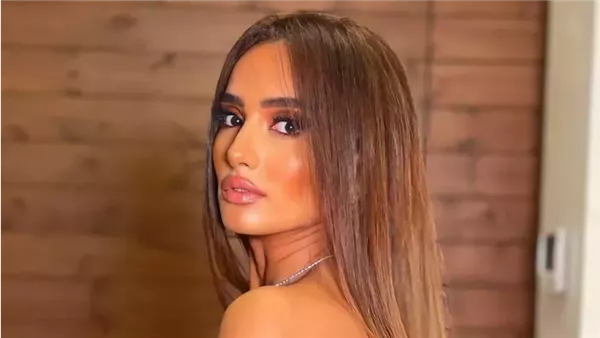 الحكم على المتهمين في مطاردة نجلي الفنانة زينة في الشيخ زايد