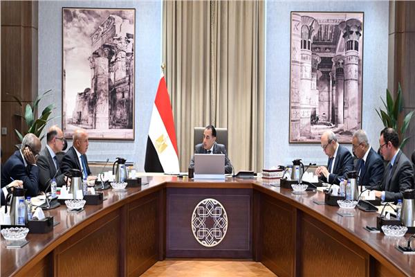 الحكومة تشكل مجموعة عمل لتعزيز التجارة مع الدول الإفريقية