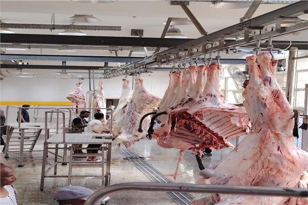 الحكومة تعلن بدء التشغيل التجريبي لمجزر دراو في أسوان بتكلفة 21.7 مليون جنيه