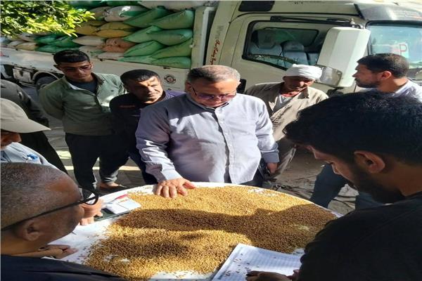 الدقهلية تقترب من 250 ألف طن قمح والمحافظ يوجه بتسهيل إجراءات الموردين