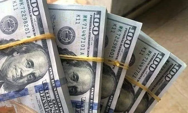 سعر صرف الدولار في البنوك المصرية اليوم 13 مايو