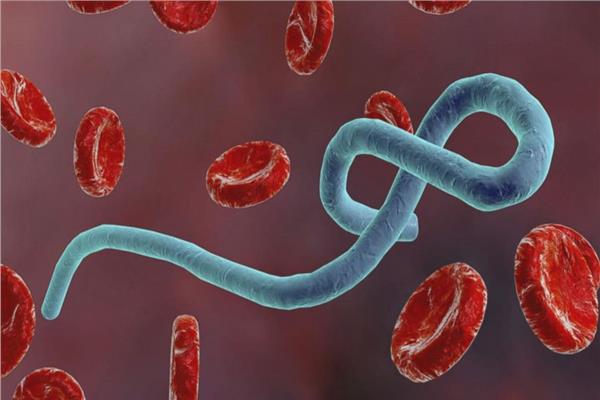 الصحة العالمية تحذر من خطر مرتفع لتفشي إيبولا في وسط إفريقيا