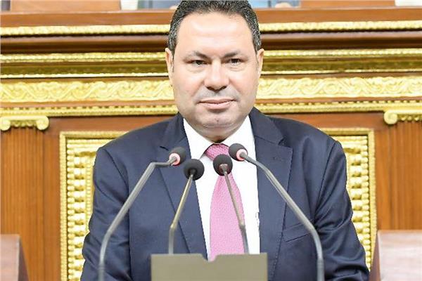 برلماني: الدلتا الجديدة تساهم في تأمين الغذاء لمصر