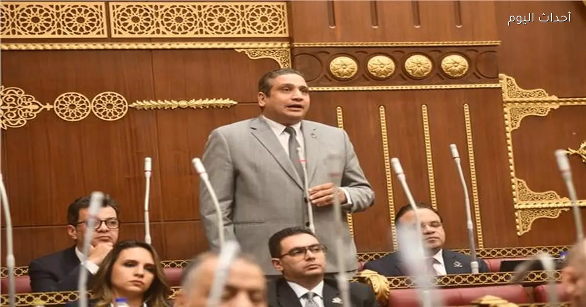 برلماني يطلب توسيع خدمات الطيران منخفض التكلفة بمطار سفنكس