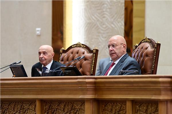 برلمانية الوفد تطالب بإحياء مبادرة الدفاع العربي المشترك بحضور رئيس النواب الليبي