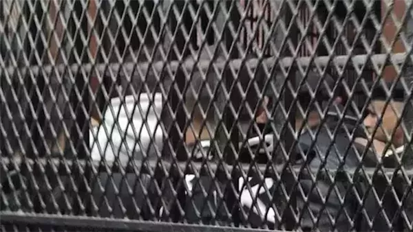 محاكمة ربة منزل وعشيقها بتهمة قتل زوجها في مدينة بدر
