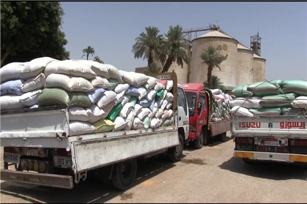 توريد 132 ألف طن قمح واستبعاد 2066 طناً غير مطابقة في سوهاج