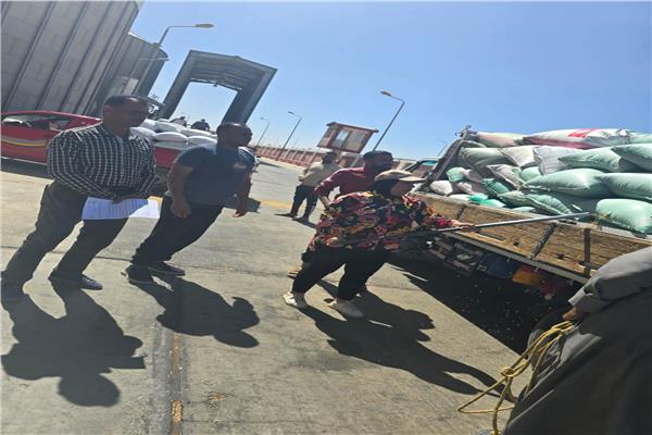 توريد 407 آلاف طن قمح في الوادي الجديد وانتظام عمليات الاستلام بالصوامع ومراكز التجميع