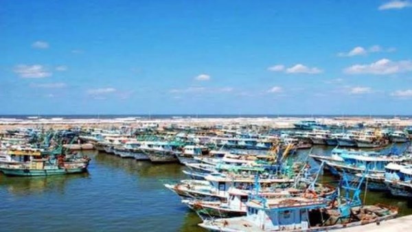 بعد استقرار الطقس .. تشغيل ميناء الصيد البحري ببرج البرلس بكامل طاقته لليوم الثالث