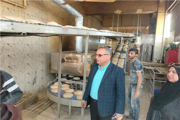 حملات تفتيشية في الدقهلية تضبط مخالفات تموينية