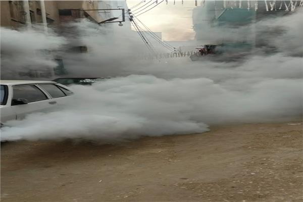 حملات لمكافحة الناموس والبعوض في شوارع طنطا بقرار من وكيل صحة الغربية
