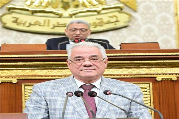 رصف جسر النيل بين زفتى وتفهنا العزب في محافظة الغربية