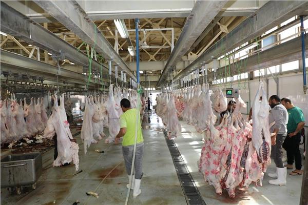 رفع درجة الاستعداد بالمجازر في القاهرة لاستقبال عيد الأضحى