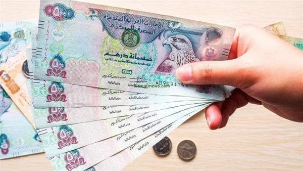 سعر الدرهم الإماراتي مقابل الجنيه اليوم 19 مايو 2026