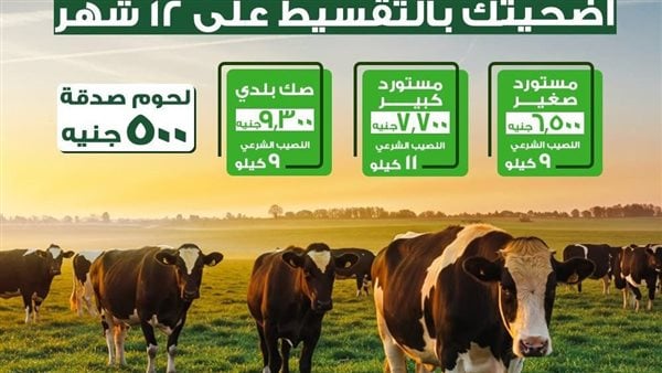 شراء الأضحية بالتقسيط: الحكم الشرعي قبل عيد الأضحى 2026