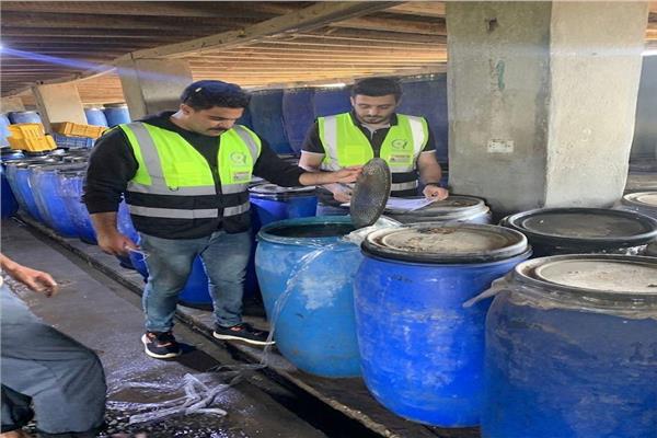 ضبط 10 أطنان مخللات في مصنع غير مرخص بالغربية