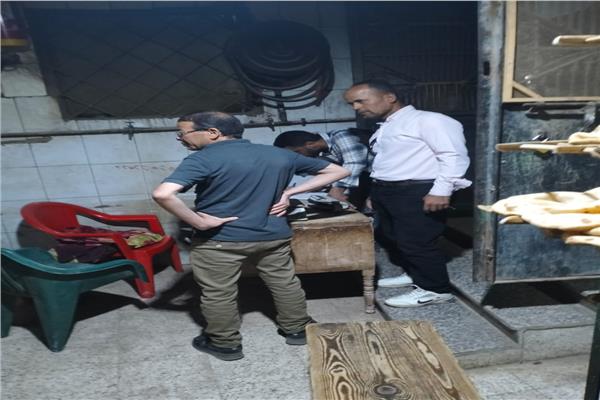 ضبط 2.5 طن دقيق مدعم ومبيدات مغشوشة في المنوفية