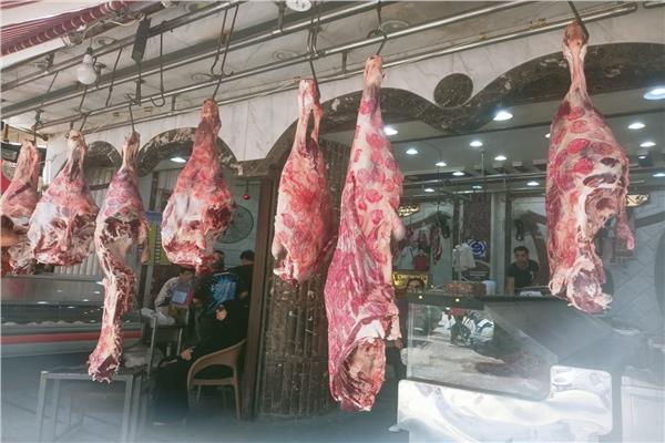 طوارئ في بيطري الإسماعيلية استعدادًا لموسم العيد