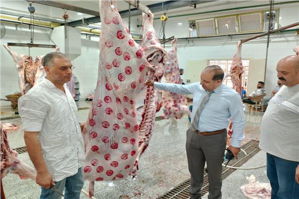 محافظ الدقهلية يتابع استعدادات الطب البيطري لعيد الأضحى