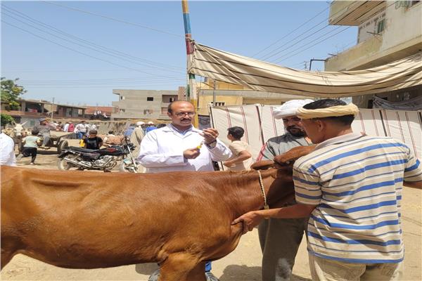 محافظ الدقهلية يتفقد القوافل البيطرية في تمي الأمديد