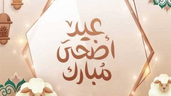 شروط اختيار الأضحية السليمة ومواصفاتها قبل عيد الأضحى 2026