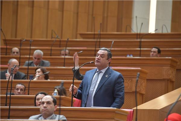 نائب التنسيقية يشيد بمشروع قانون النقابات العمالية