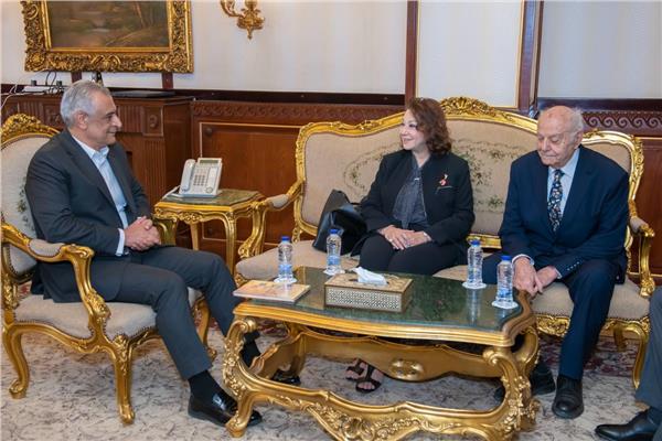 وزير الإنتاج الحربي يناقش الاستفادة من الطاقة الشمسية مع خبير دولي