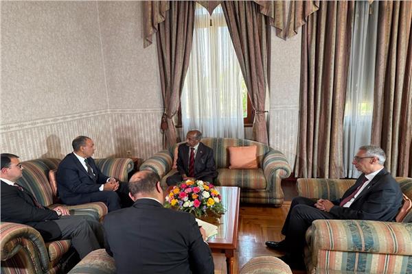 وزير الخارجية يلتقي نظيره الإريتري لبحث تعزيز التعاون بين مصر وإريتريا