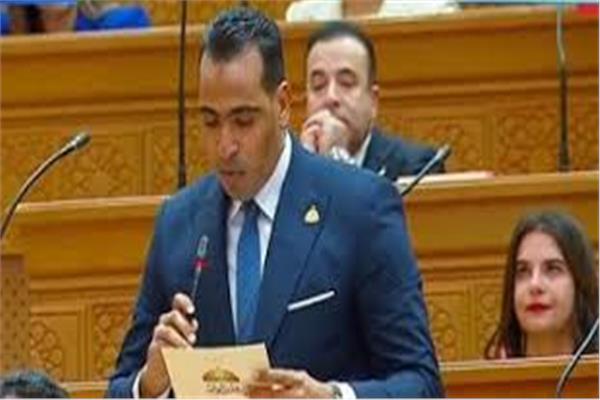 وكيل اتصالات النواب: مشروع الدلتا الجديدة يحقق تطويرًا كبيرًا