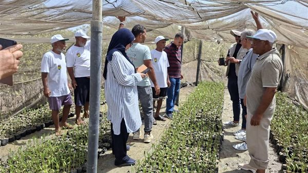 أكساد تبدأ تنفيذ مشروع لتخزين الكربون وجذب الطيور المهاجرة