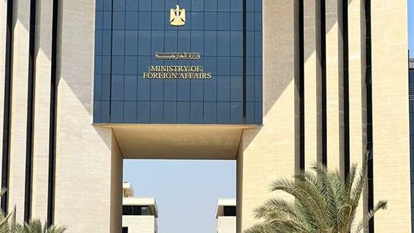 عاجل.. مصر تدين استهداف مطار نيامي في النيجر