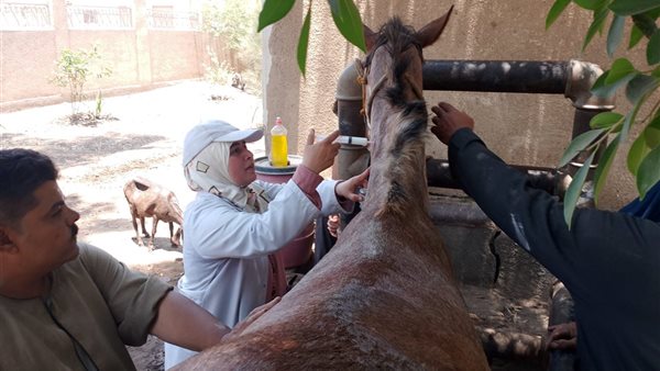 قافلة طبية مجانية في هربيط بمركز أبوكبير