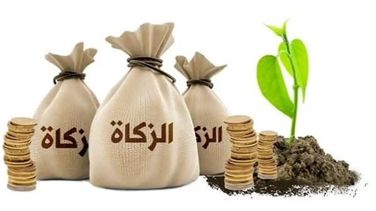 من هم العاملون على الزكاة وما ضوابط صرفها لهم؟ الإفتاء توضح