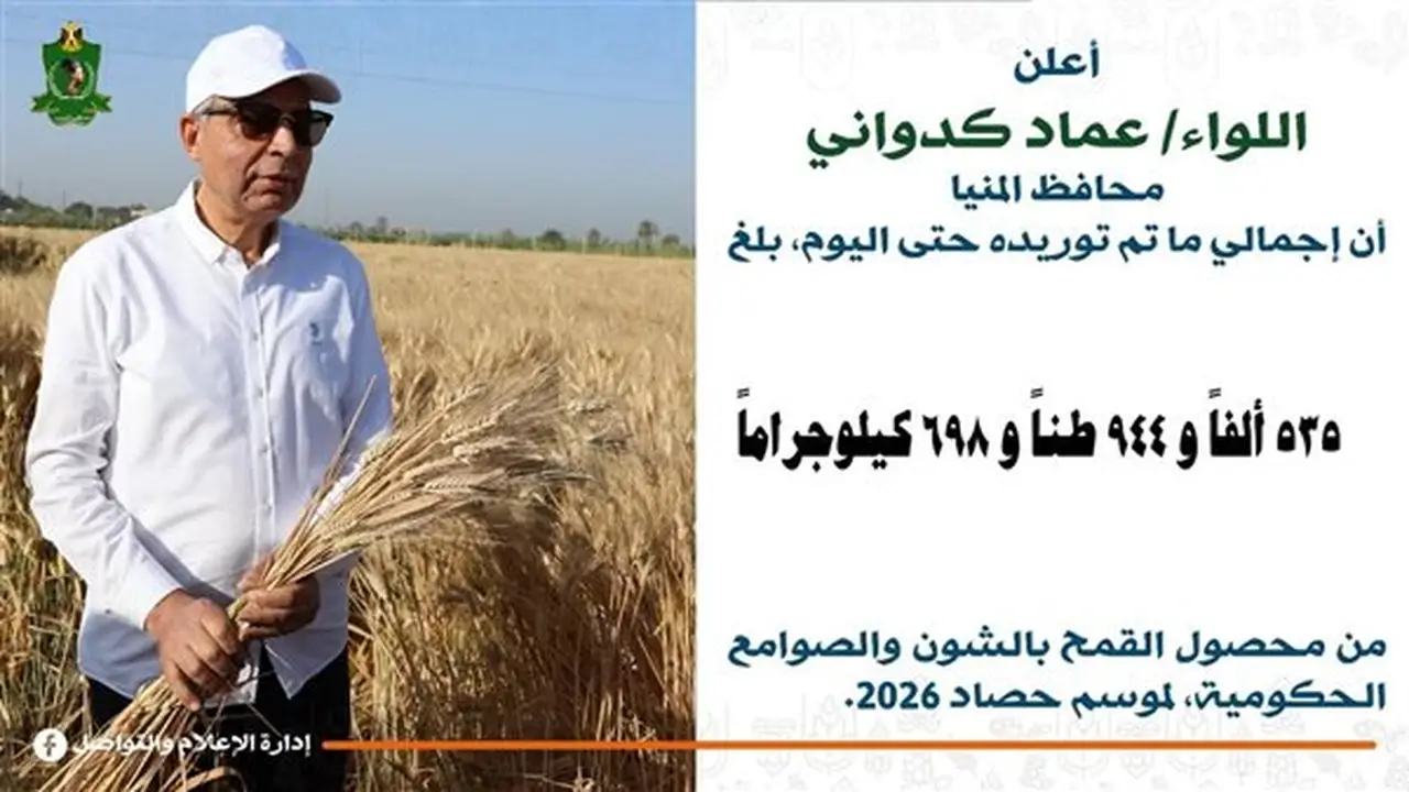 محافظ المنيا: استلام 536 ألف طن من القمح المحلي مع استمرار عملية التوريد