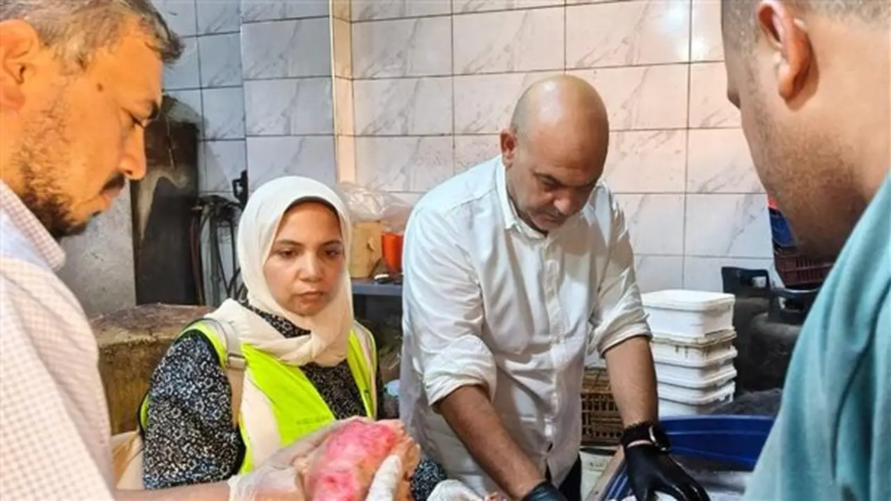 ضبط محل يحقن الدواجن بالمياه لزيادة وزنها ومصادرة طن وربع من اللحوم الفاسدة في القليوبية