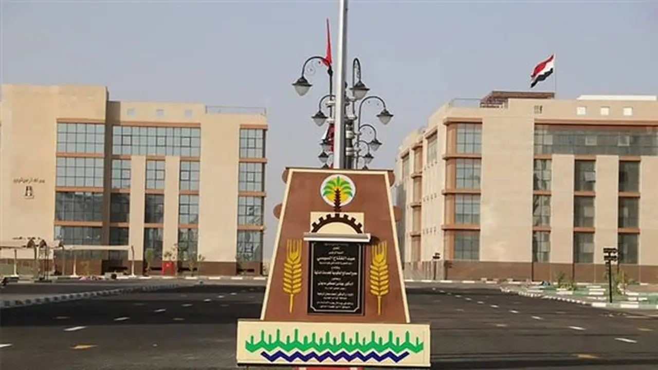 مديرية العمل بالوادي الجديد تعزز التشغيل والتدريب من خلال أنشطة متنوعة