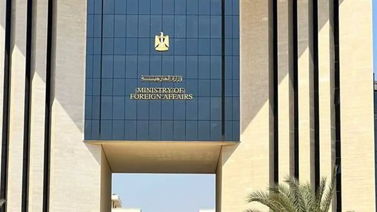 مصر تعرب عن تضامنها مع الجزائر في مواجهة حرائق الغابات