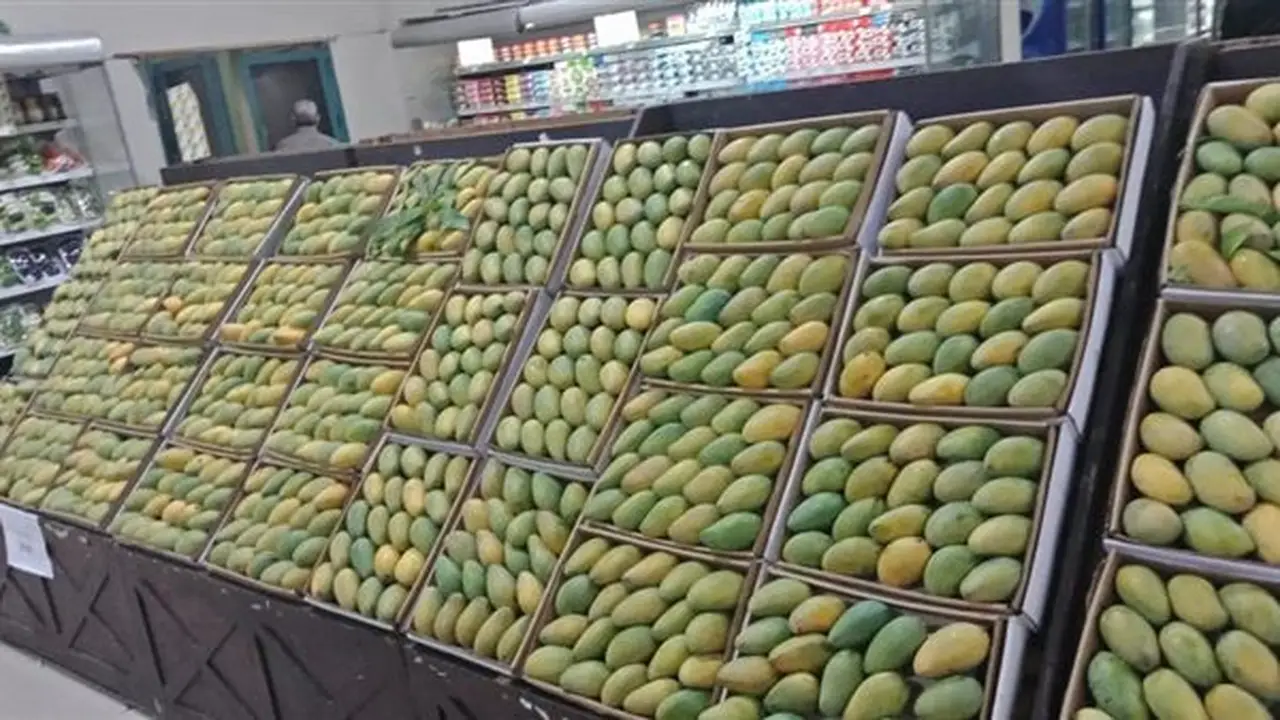 ارتفاع أسعار المانجو اليوم في الأسواق إلى 27 جنيهاً