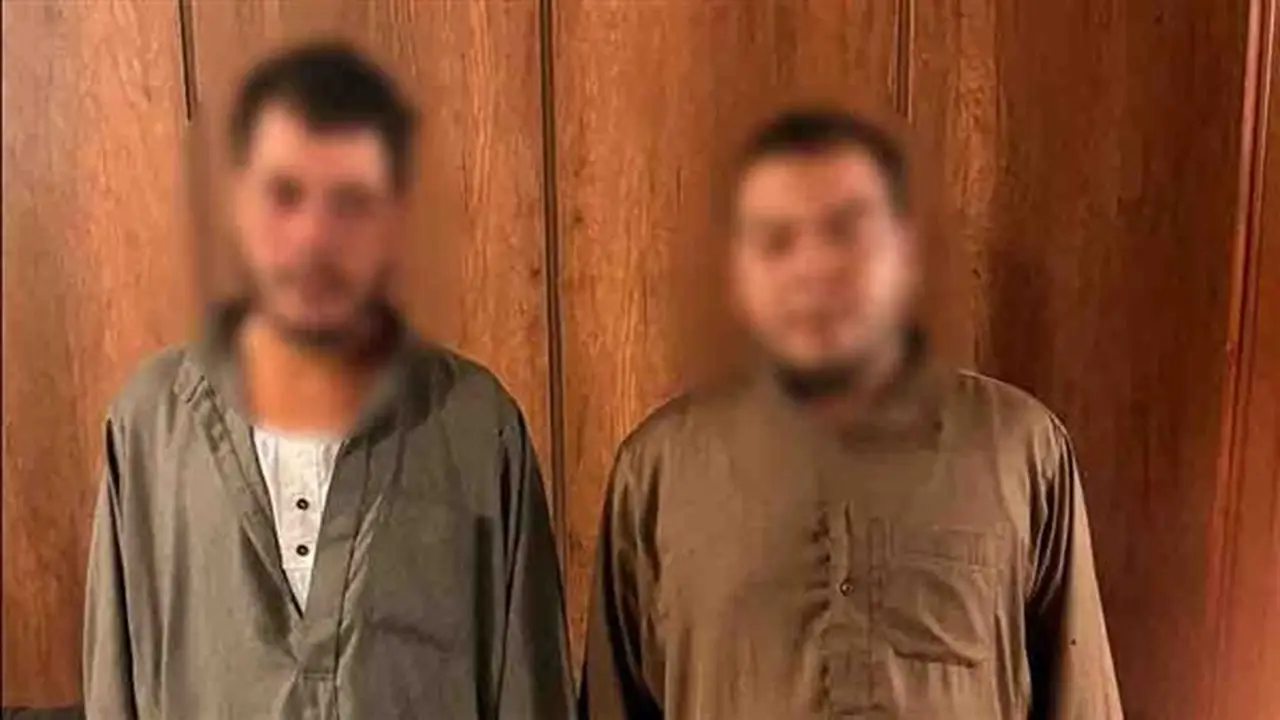 الأجهزة الأمنية تضبط عاملين بعد تداول فيديو لسلخ حمار نافق في البحيرة