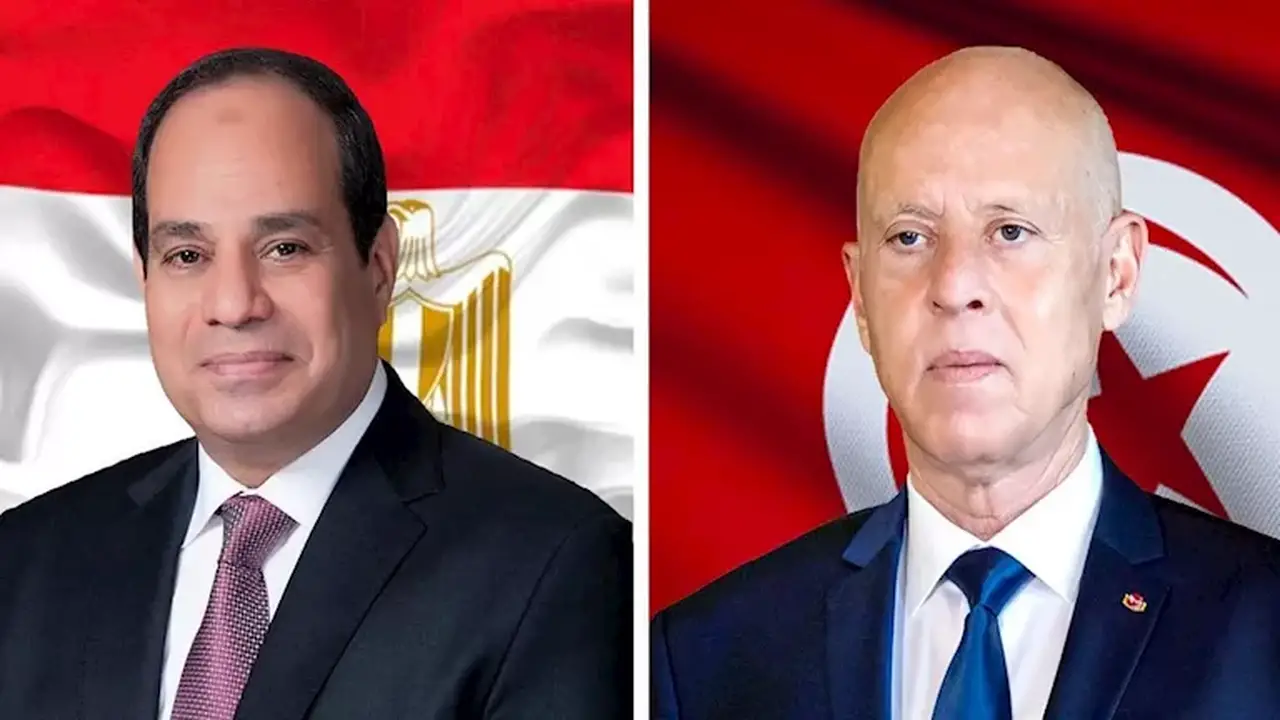 الرئيس التونسي يؤكد: أمن مصر جزء لا يتجزأ من الأمن القومي العربي