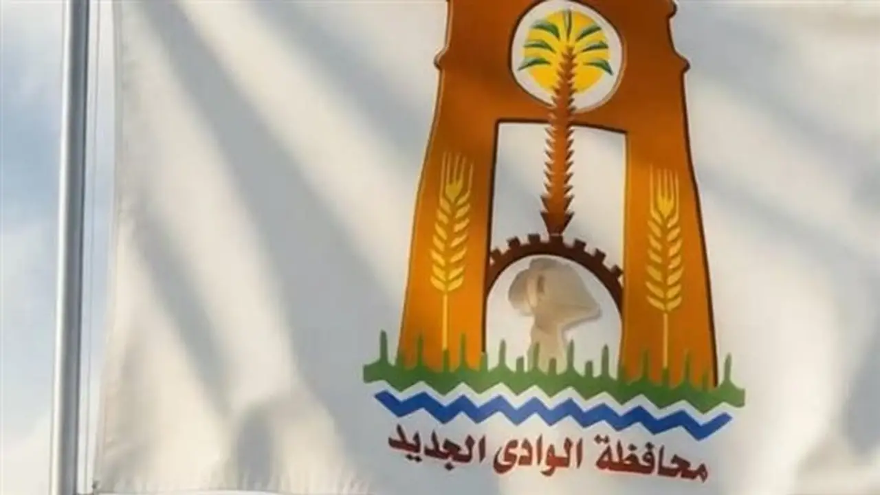 فتح باب التقديم لـ 28 وظيفة هندسية لدعم الوحدات المحلية في الوادي الجديد