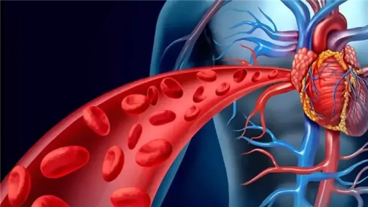أسباب وأعراض قصور الشريان التاجي وطرق علاجه