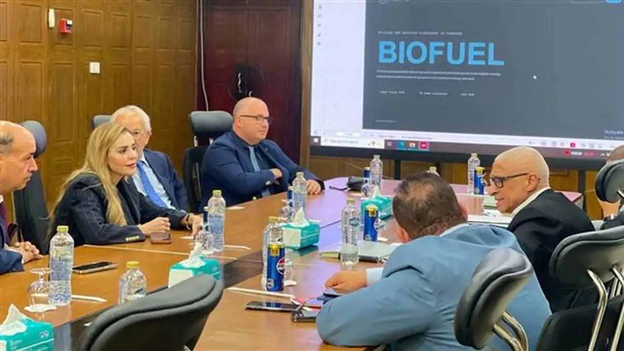 محافظ شمال سيناء يبحث مع الشركات العالمية فرص الاستثمار الواعدة في التنمية