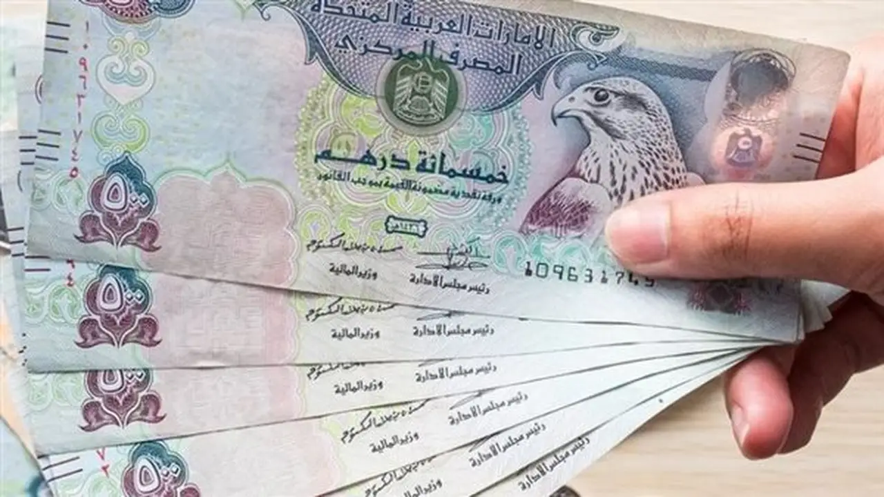 استقرار سعر الدرهم الإماراتي عند 13.89 جنيها للشراء في البنك الأهلي مساء اليوم الخميس