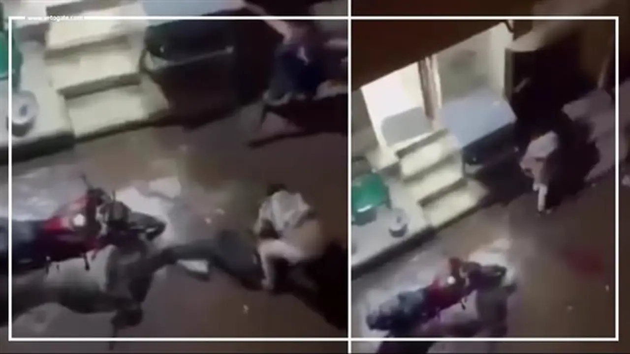 تحرك أمني بعد تداول فيديو مروع لذبح شاب في الإسكندرية