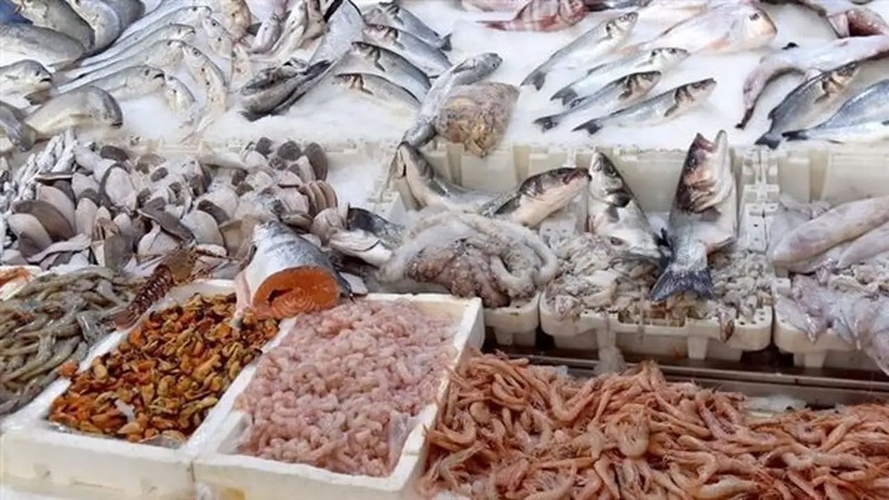 أسعار السمك اليوم: البلطي والجمبري يشهدان استقرارًا مع ارتفاع قشر البياض 20 جنيها