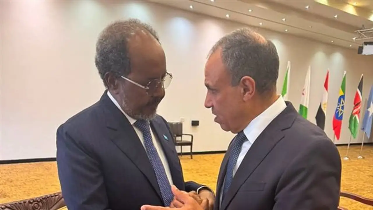 وزير الخارجية المصري يلتقي الرئيس الصومالي في قمة كمبالا