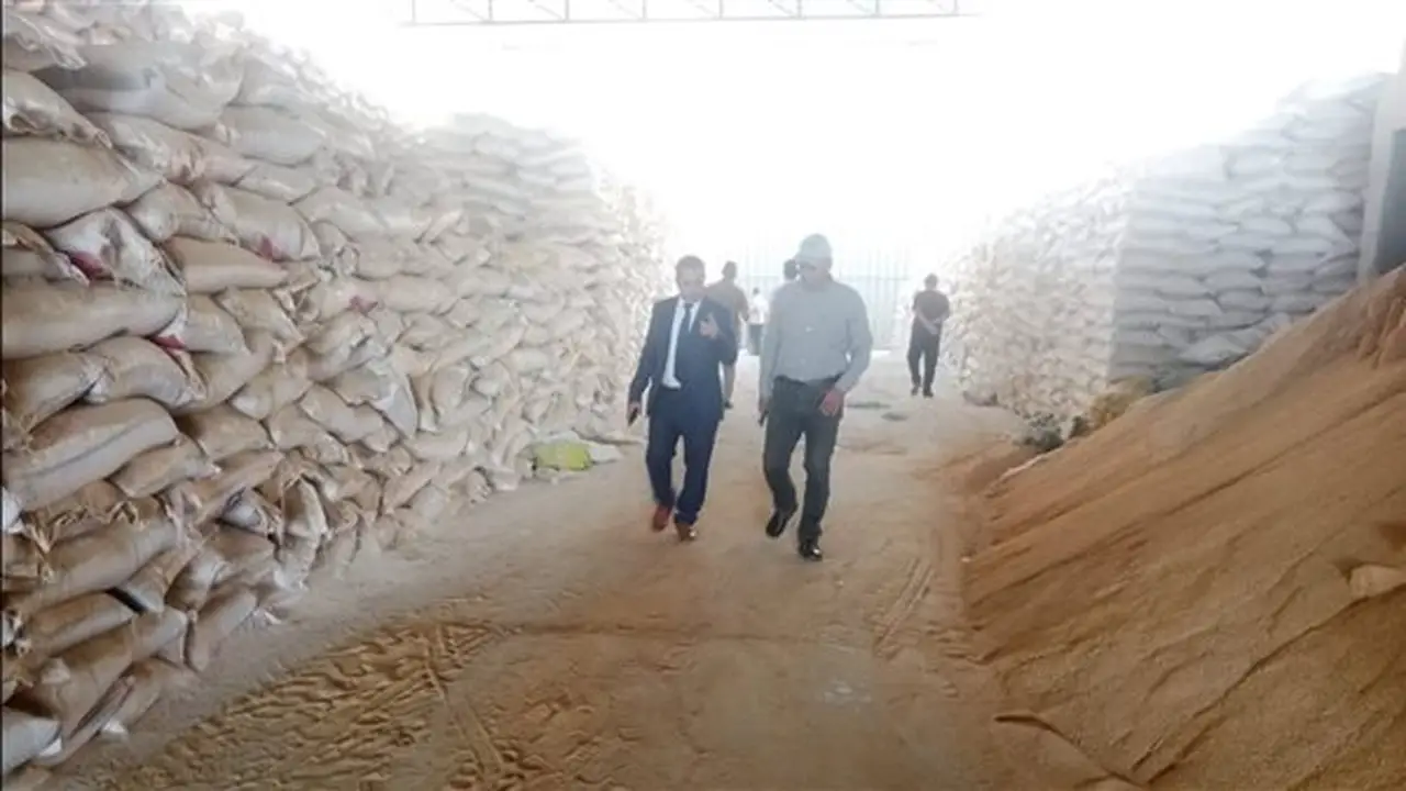 ضبط 825 طنًا من علف الأسماك المغشوش في مصنع غير مرخص بطنطا