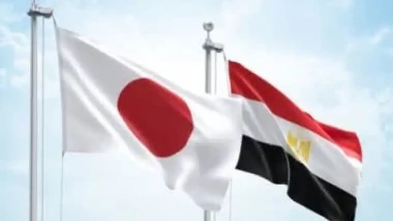مصر تعزز مكانتها كثالث أكبر مورد للبرتقال إلى السوق اليابانية